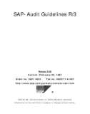 SAP- Audit Guidelines R/3: Release 3.0D