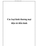 Các loại hình thương mại điện tử điển hình