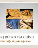 QUẢN TRỊ RỦI RO TÀI CHÍNH - CHƯƠNG 1