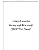 Hướng đi nào cho thương mại điện tử nội (TMĐT Việt Nam)?