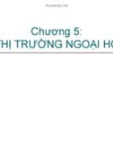 Bài giảng Tài chính quốc tế: Chương 5 - TS. Đặng Ngọc Đức