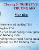 Nghiệp vụ thị trường mở