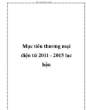 Mục tiêu thương mại điện tử 2011 - 2015