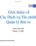 Giới thiệu về các dịch vụ tài chính quản lý rủi ro