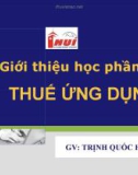 Thuế ứng dụng - GV Trịnh Quốc Hùng