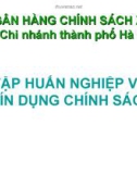 Bài giảng Tập huấn nghiệp vụ Tín dụng chính sách