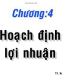 Chương 4: Hoạch định lợi nhuận