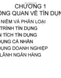 TỔNG QUAN VỀ TÍN DỤNG NGÂN HÀNG_CHƯƠNG 1