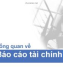 Phân tích báo cáo tài chính