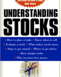 Understanding Stocks