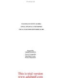 PALM BEACH COUNTY, FLORIDA ANNUAL FINANCIAL AUDIT REPORT FISCAL YEAR ENDED SEPTEMBER 30, 2009_part1