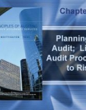 Lecture Principles of auditing and other assurance services (15/e): Chapter 6 - Whittington, Pany