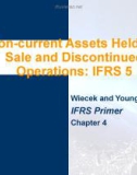 Lecture IFRS primer international GAAP basics: Chapter 4 - Wiecek, Young