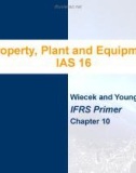 Lecture IFRS primer international GAAP basics: Chapter 10 - Wiecek, Young