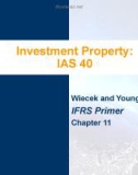 Lecture IFRS primer international GAAP basics: Chapter 11 - Wiecek, Young