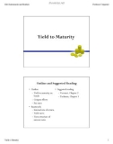 Yield to Maturity