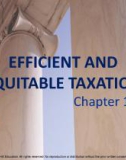 Lecture note Public finance (10th Edition) - Chapter 16: Efficient and equitable taxation