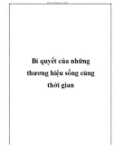 Bí quyết của những thương hiệu sống cùng thời gian