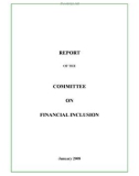 REPORT OF THE COMMITTEE ON FINANCIAL INCLUSION