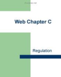 Lecture Personal financial planning – Web chapter C: Regulation