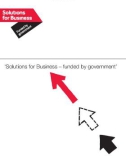 ‘ Solutions for Business – funded by government'