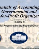 Lecture Essentials of accounting for governmental and not-for-profit organizations (12/e) – Chapter 14: Financial reporting by the federal government