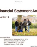 Lecture Financial Accounting (15/e) - Chapter 14: Financial statement analysis