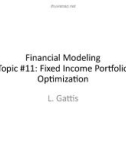 Lecture Financial modeling - Topic 11: Fixed income portfolio optimization