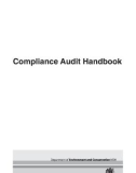 Compliance Audit Handbook