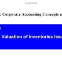 Lecture Issues in financial accounting – Lecture 10: Valuation of inventories issues