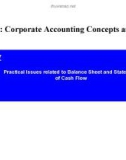 Lecture Issues in financial accounting – Lecture 7: Practical issues related to balance sheet and statement of cash flow