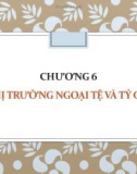 Bài giảng Kinh tế học quốc tế: Chương 6 - Đoàn Hải Anh