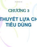 Bài giảng Kinh tế vĩ mô - Chương 3: Lý thuyết lựa chọn tiêu dùng