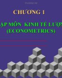 Môn học kinh tế lượng - Nhập môn kinh tế lượng