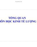 Bài giảng Kinh tế lượng - Tổng quan môn học kinh tế lượng (2014)