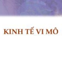 Tổng quan về kinh tế vi mô