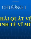 Bài giảng Kinh tế vĩ mô - Chương 1: Khái quát về kinh tế vĩ mô (2012)