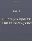 Bài giảng Bài 13: Những quy định về chế độ tài sản vợ chồng