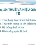 Bài giảng Kinh tế công cộng: Chương 10 - PGS.TS. Phí Mạnh Hồng