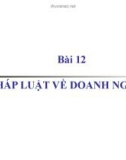 Bài giảng Bài 12: Pháp luật về doanh nghiệp