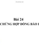 Bài giảng Bài 24: Công chứng hợp đồng bảo lãnh