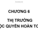 Bài giảng Kinh tế vĩ mô - Chương 6: Thị trường độc quyền hoàn toàn (5tr)