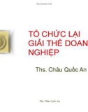 Tổ chức lại giải thể doanh nghiệp - TS Châu Quốc An