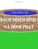 Bài giảng Trách nhiệm hình sự và hình phạt