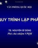 Bài giảng Quy trình lập pháp - TS. Nguyễn Sĩ Dũng