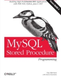 MySQL Stored Procedure Programming