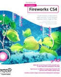 Foundation Fireworks CS4- P1