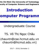 Lecture Introduction to Computer Programming: Undergraduate Course