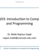 Lecture Introduction to computer and programming - Lecture No 1