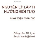 Bài giảng Nguyên lý lập trình hướng đối tượng: Bài 0 - TS. Lý Anh Tuấn